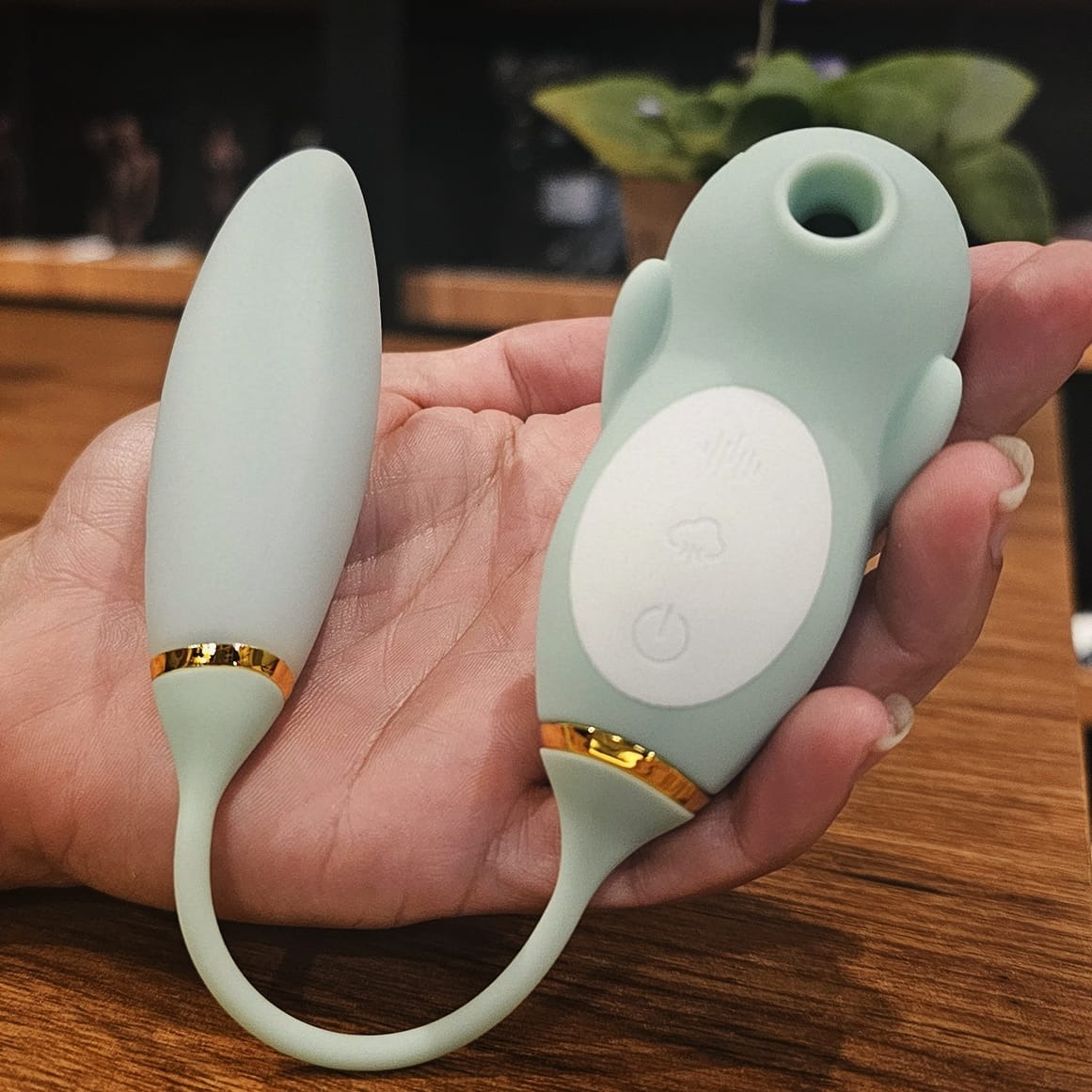 Produtos do Sex Shop - peça 2